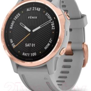 Умные часы Garmin Fenix 6S Sapphire / 010-02159-21